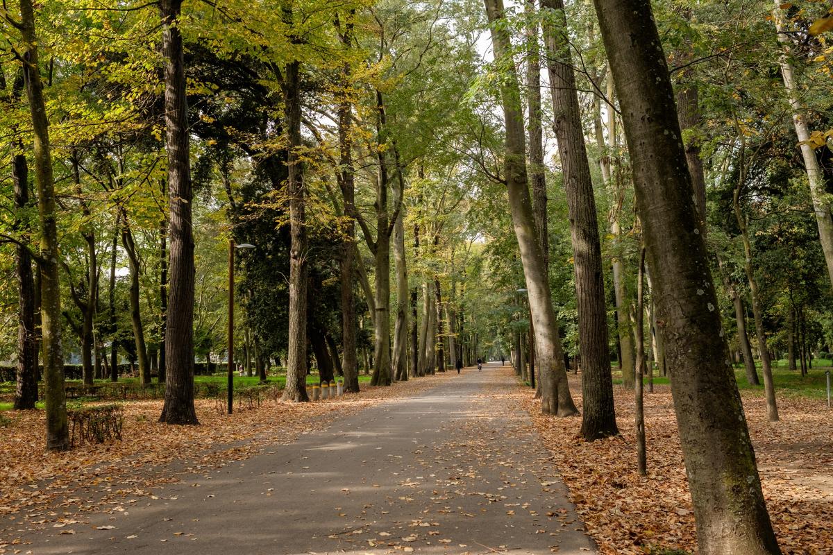 Parc des Cascine