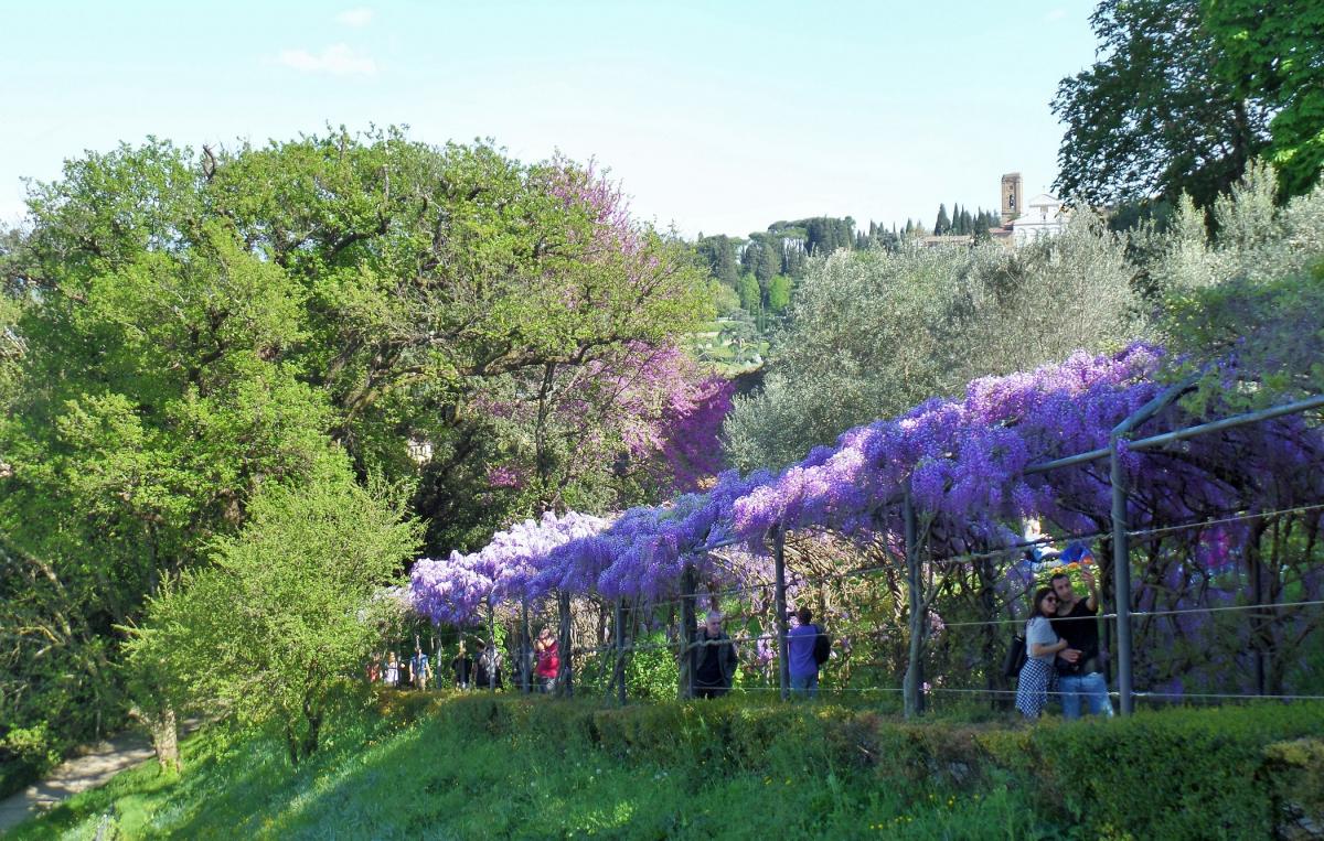 Bardini Garten